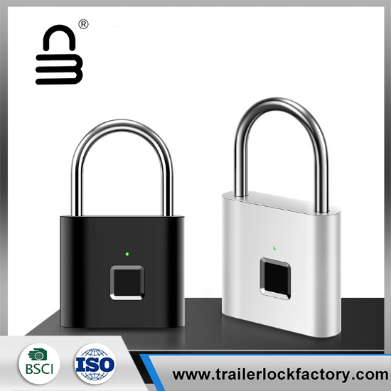 Kunci Keselamatan Pintar Mini Keyless
